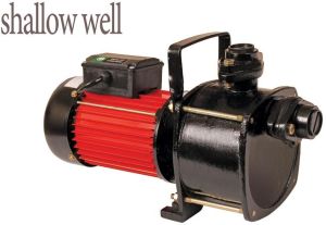 Domestic Monoblock Pump (SW15)