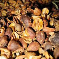 Coffee Beans Husk