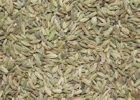 Fennel Seed