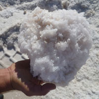 Raw Sea Salt