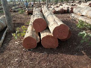 Round Logs