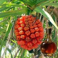 Natural Indian Attars