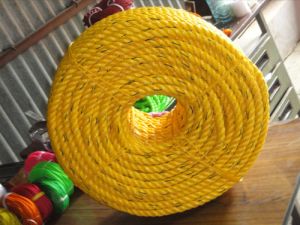 Girnar Rope