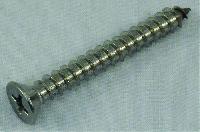 Phillips Head Self Tapping Screw