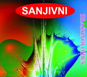 Sanjivni Bio Organic Fertilizer