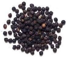 Black Pepper Seeds