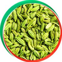 Fennel Seeds
