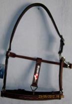 Leather Halter