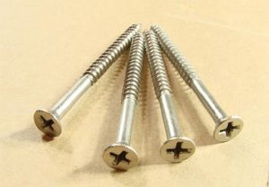 Stainless Steel Wood Screws