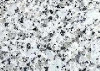 Platinum White Granite Stone
