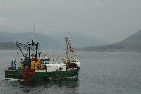 Fishing Trawlers