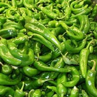 Fresh Green Chilli