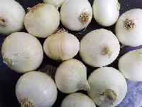 White Onion