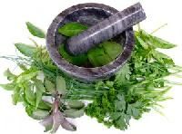 herbal veterinary medicines