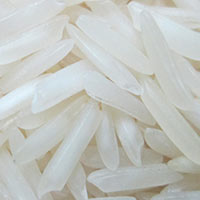 Basmati rice