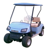 Two Seater Golf Cart
