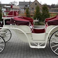 victoria horse carriage