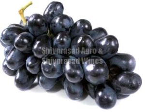 Fresh Black Grapes