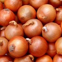 Onion