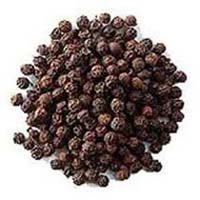 Black Pepper Seeds