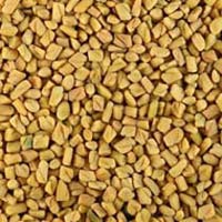 Fenugreek Seeds