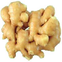 Ginger Powder Extract