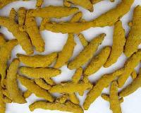 Turmeric Fingers