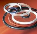 Ptfe O Rings