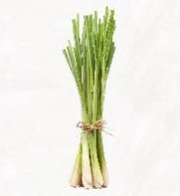 Lemon Grass