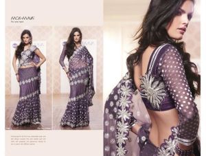 Designer 2 Blouse 2 Pally Sarees