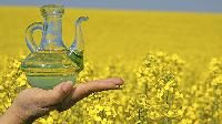 Rapeseed Oil