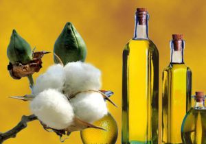 Cottonseed Oil