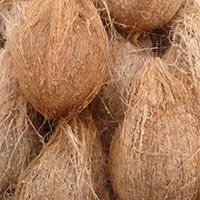 semi husked pollachi coconuts