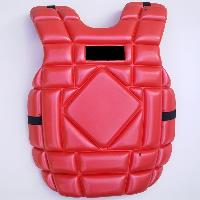 Hockey Chest Guards