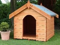 Dog Kennels