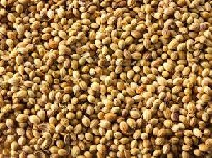 Coriander Seeds