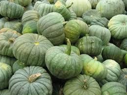 Fresh Green Pumpkin