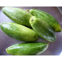 Fresh Pointed Gourd