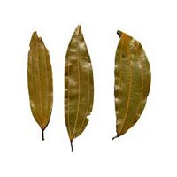 Bay Leaves