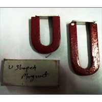 U-Shaped Magnet