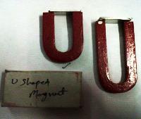 U Shaped Magnet