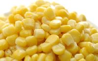 Yellow Corn Maize