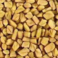 Fenugreek Seeds