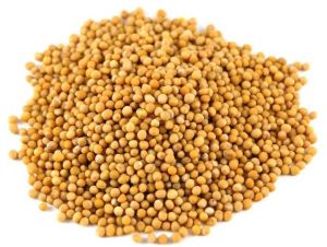 Yellow Mustard Seeds