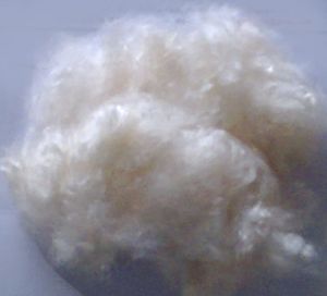 Kapok Fiber