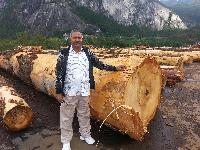 Douglas Fir Logs