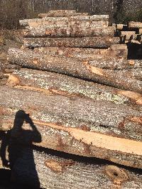 Hickory Wood Logs
