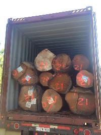 Red Oak Logs