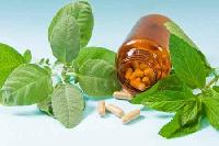 herbal anti diabetic drugs