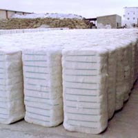 Cotton Bales